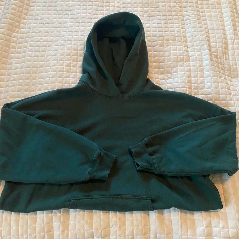 Forrest Green Comfort Hoodie From Hollister